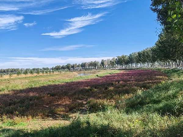 这里是友情链接 